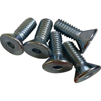 DRAG SPECIALTIES Hardware Kit - Brake Rotor - Socket-Head - Front - 5/16"-18 2401-1594