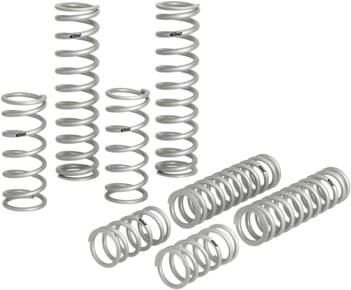 EIBACH Stage 3 Pro UTV Performance Spring System - For OEM Fox Shock E852120040322