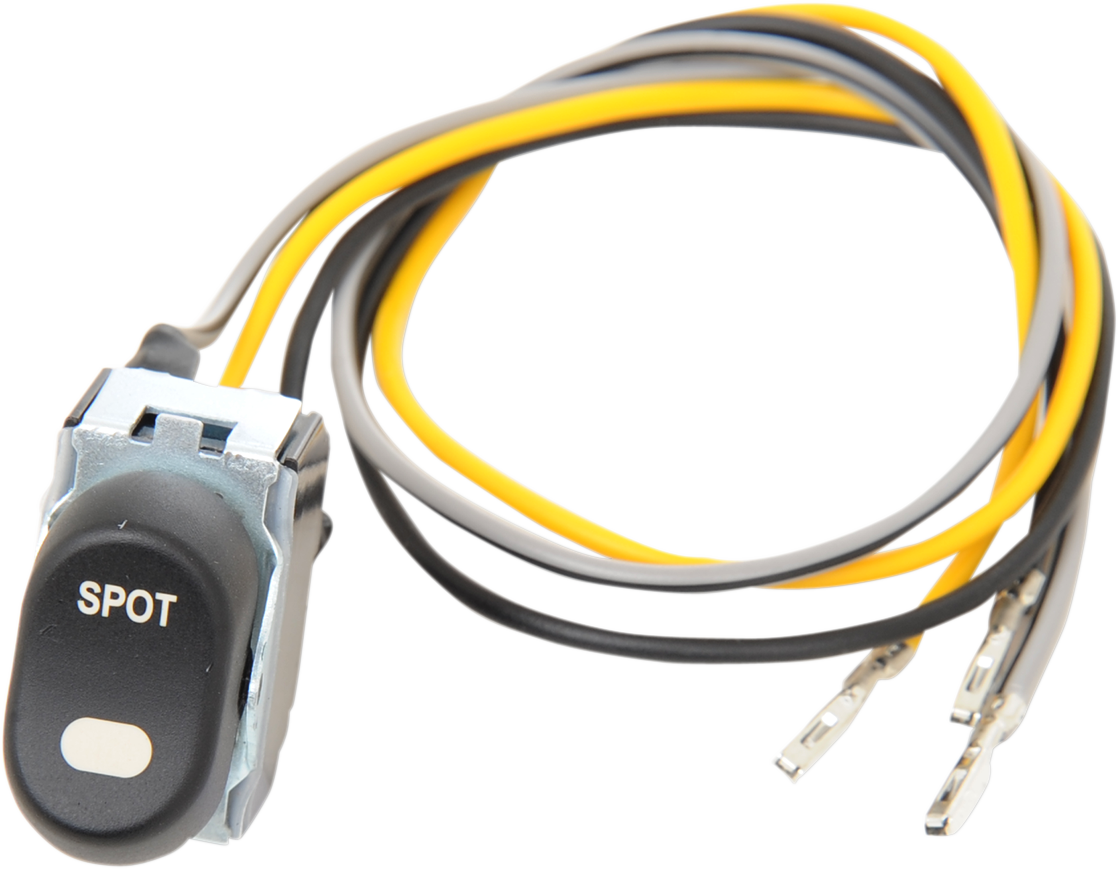 ESPECIALIDADES DE ARRASTRE Interruptor basculante Spotight - '96-'13 FLT H18-0556