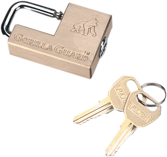 REESE Brass Hitch Lock 7005300