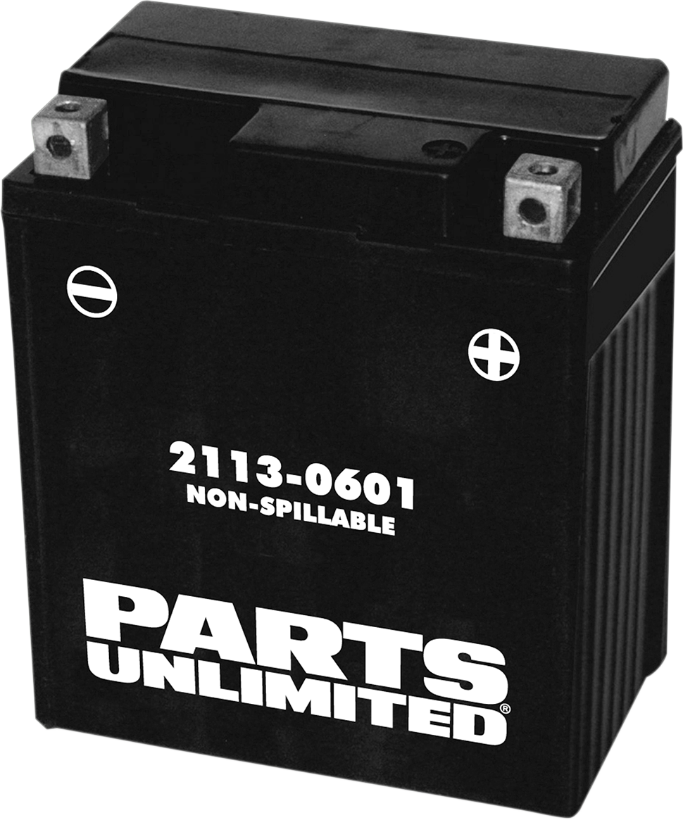 Parts Unlimited AGM Battery Factory Activated - YTZ8V 2113-0601