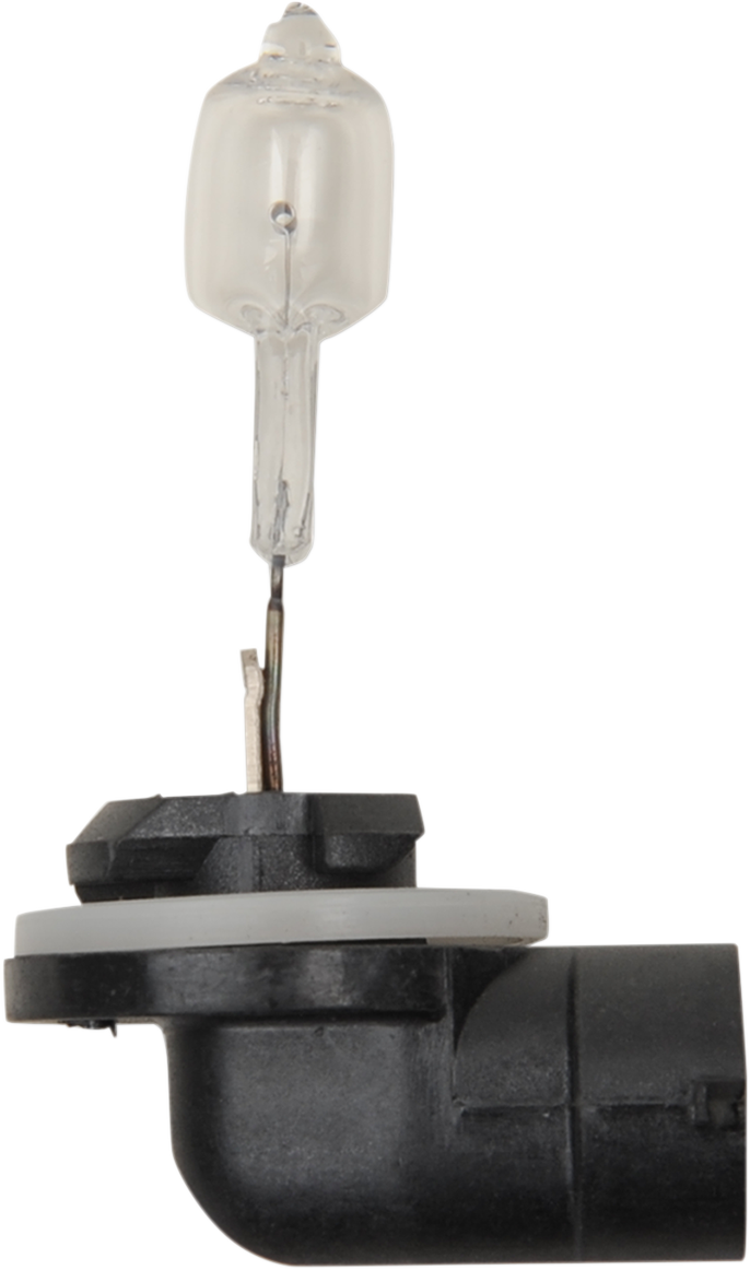 PEAK LIGHTING Halogen Bulb - 886 - 50W 886-BPP