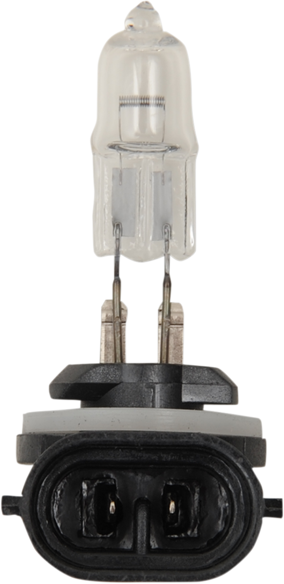 PEAK LIGHTING Halogen Bulb - 886 - 50W 886-BPP