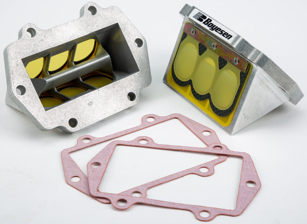 BOYESEN Snowmobile Rage Cage RAD51C-2