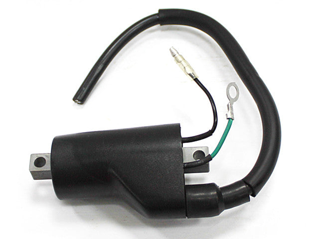 BRONCO Atv Ignition Coil AT-01311