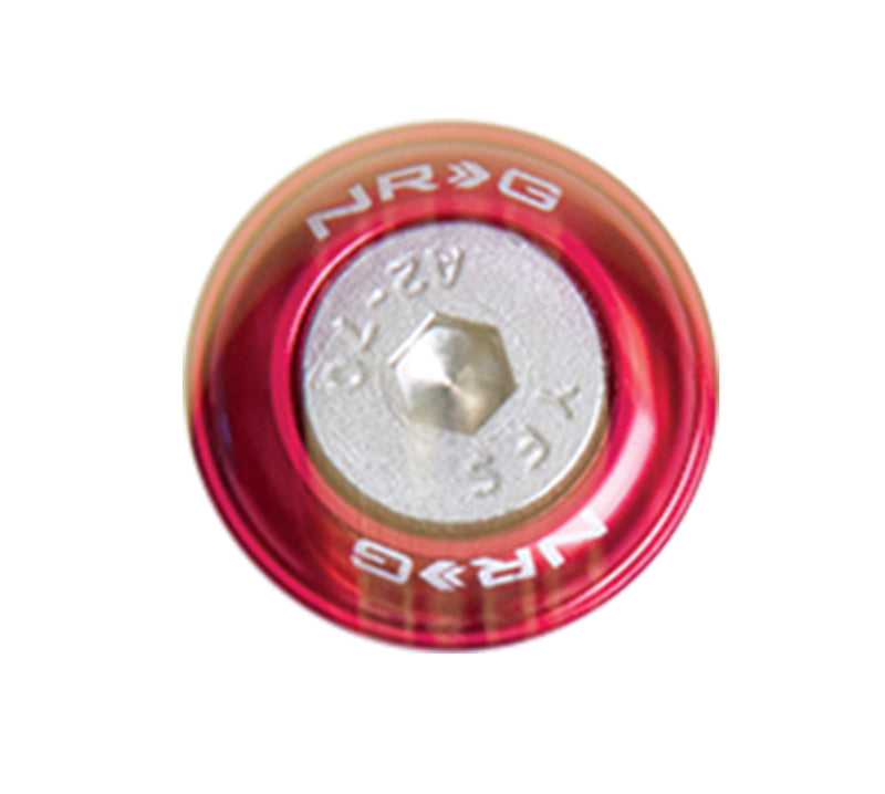 NRG Fender Washer Kit w/Rivets For Metal (Red) - Set of 10 FW-110RD