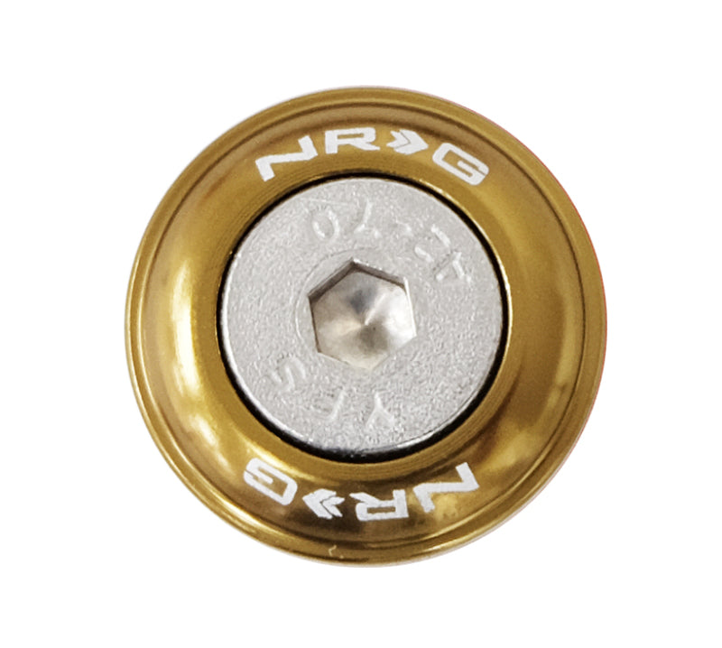 NRG Fender Washer Kit w/Rivets For Plastic (Titanium) - Set of 10 FW-100TI