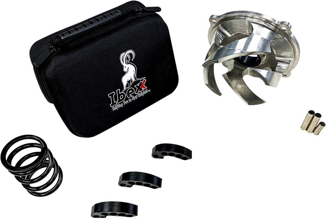 IBEXX Clutch Kit Axys 850 Stage 2 11726-2