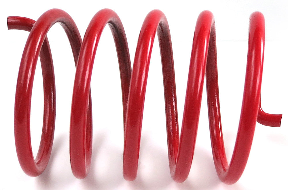 EPI Clutch Spring Pol Red PDS-10