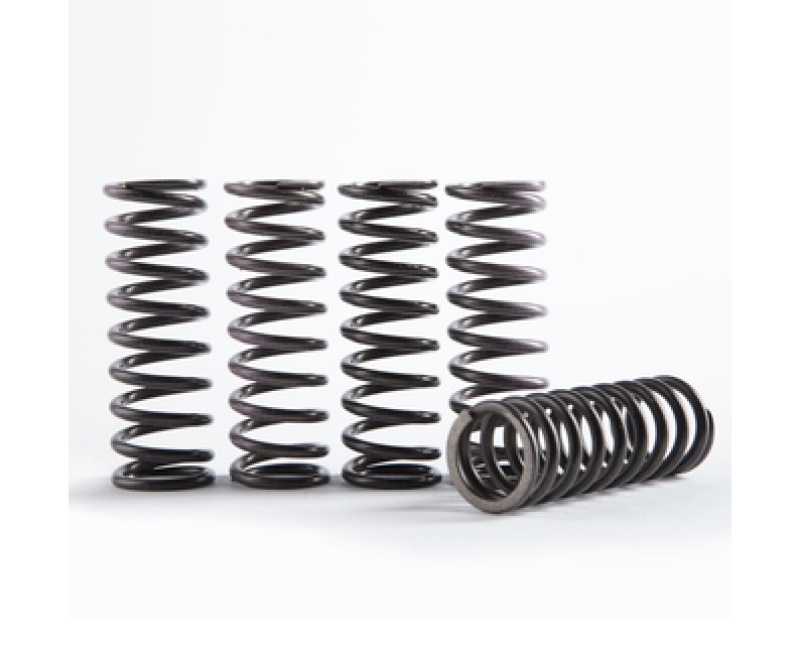 Hinson Clutch 09-13 Yamaha YZ250F Hi-Temp Clutch Spring Kit - Set of 5 CS341-5-0311