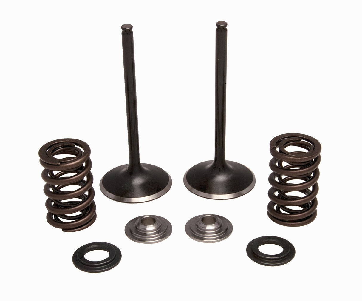 KPMIIntake Valve/Spring Kit Stainless30-34000