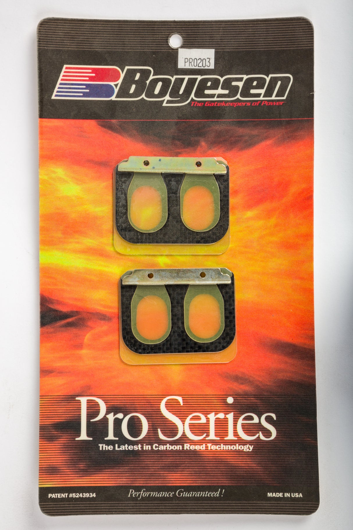 BOYESEN Motorcycle Pro Reeds PSR-203