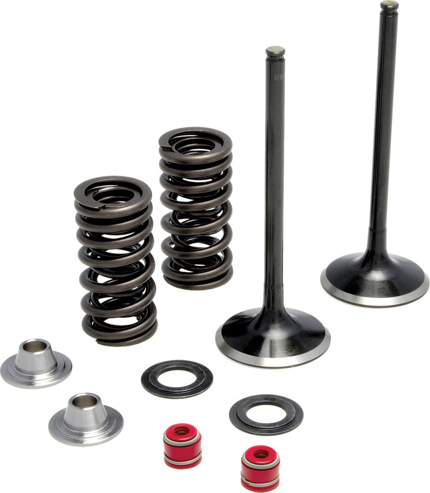 KPMIIntake Valve Spring Kit60-60720