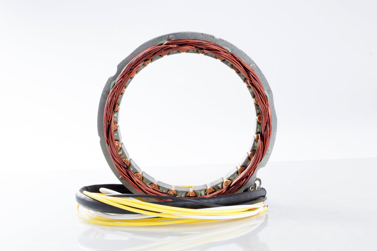 RICKS Stator 21-100