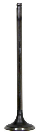BRONCO Intake Valve AU-09192I
