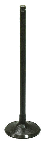 BRONCO Intake Valve AU-09214I