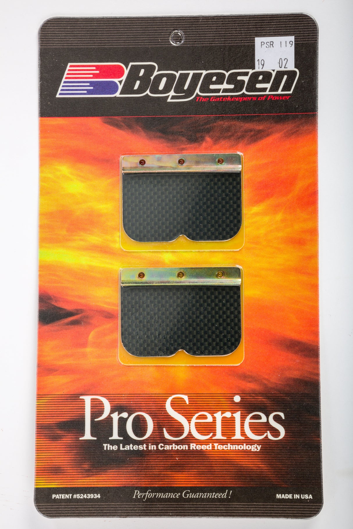 BOYESEN Motorcycle Pro Reeds PSR-119