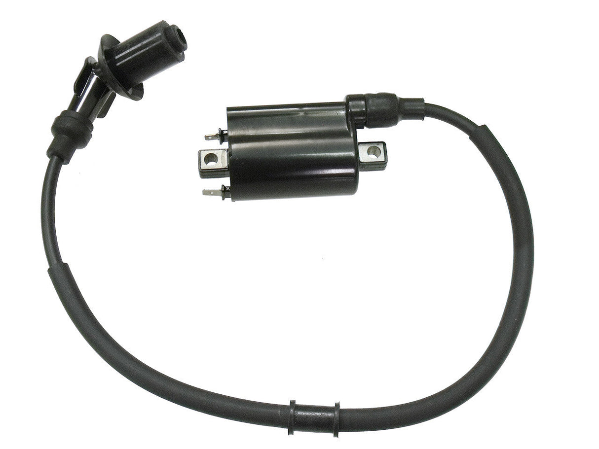 BRONCO Atv Ignition Coil AT-01691