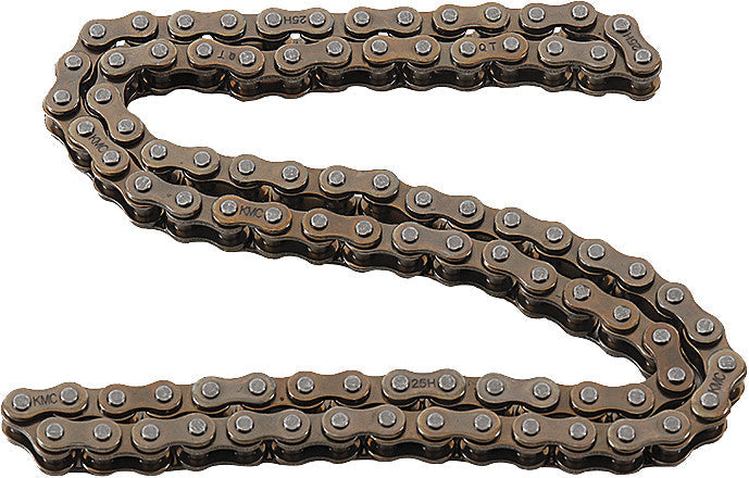 HOT CAMS Cam Chain HCDID25H090
