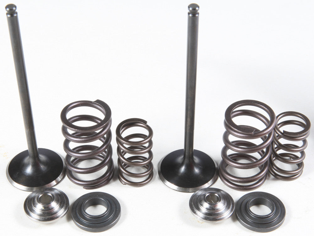 KPMIIntake Valve/Spring Kit Stainless Steel96-96450