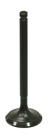 BRONCO Exhaust Valve AU-09213E