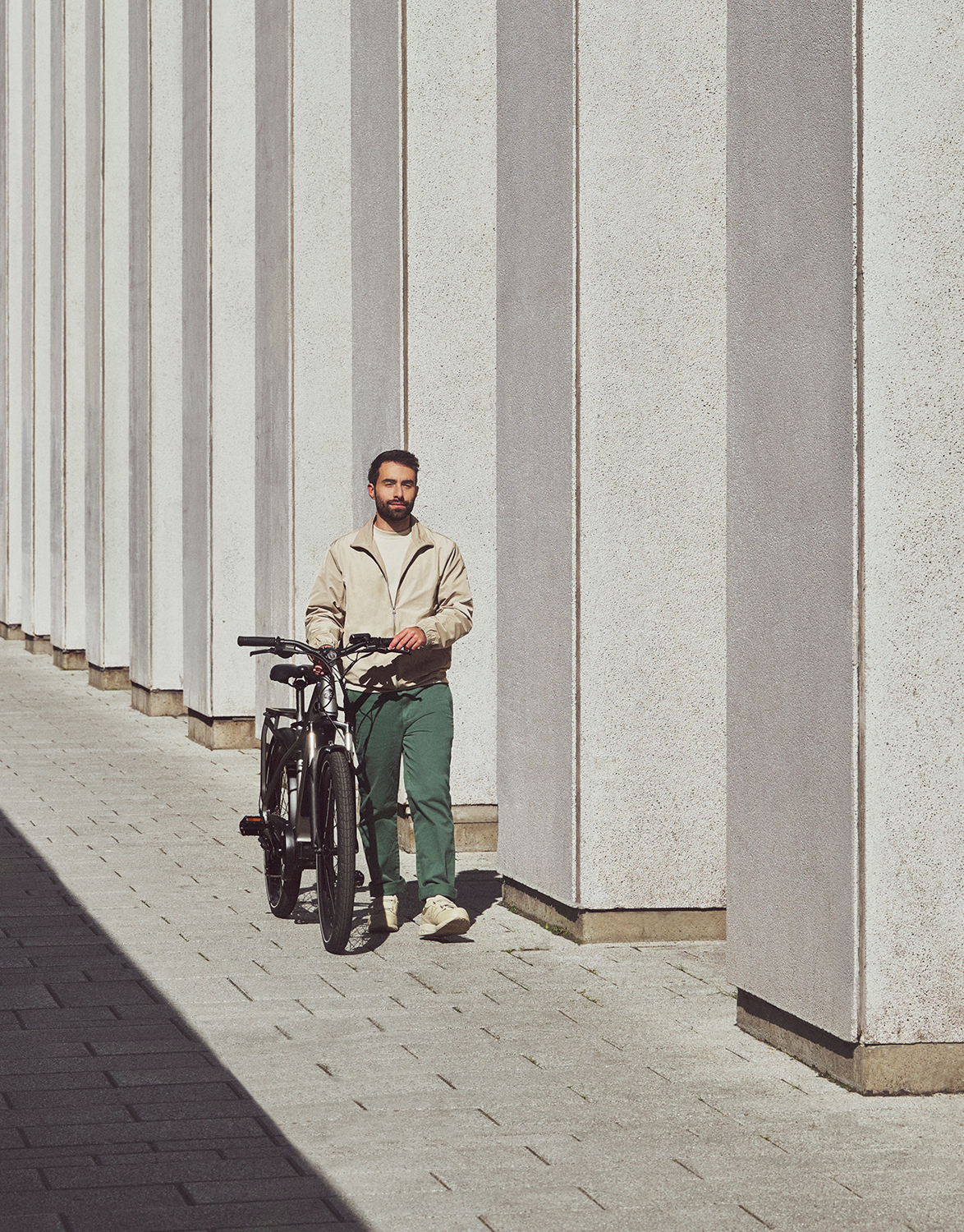 IGO ELECTRIC BIKES Discovery Yorkville LS E-Bike - Platinum - Hybrid 100-222-000