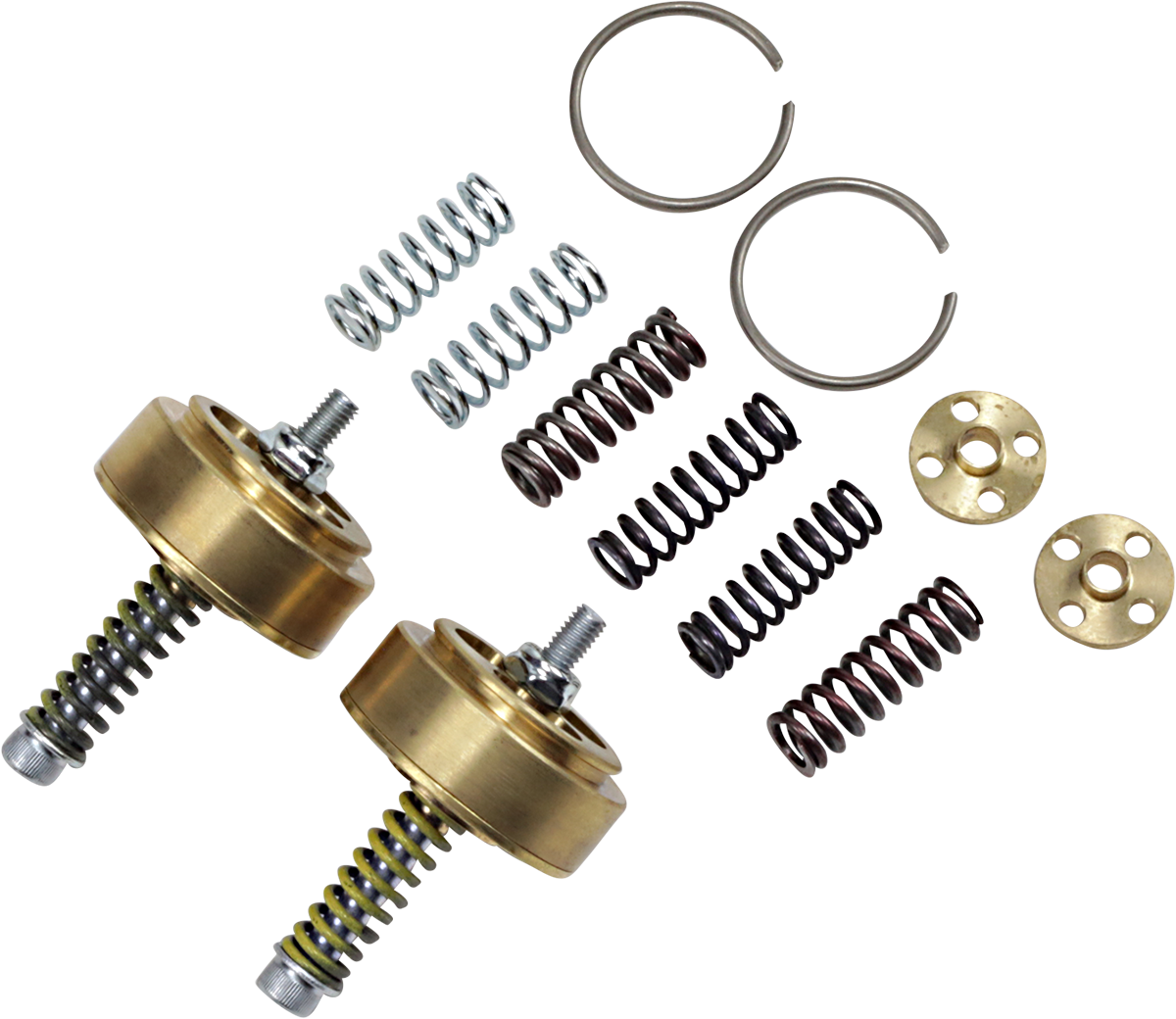 Emuladores de horquilla de cartucho de válvula dorada RACE TECH para Street/Track/Touring FEGV S4301