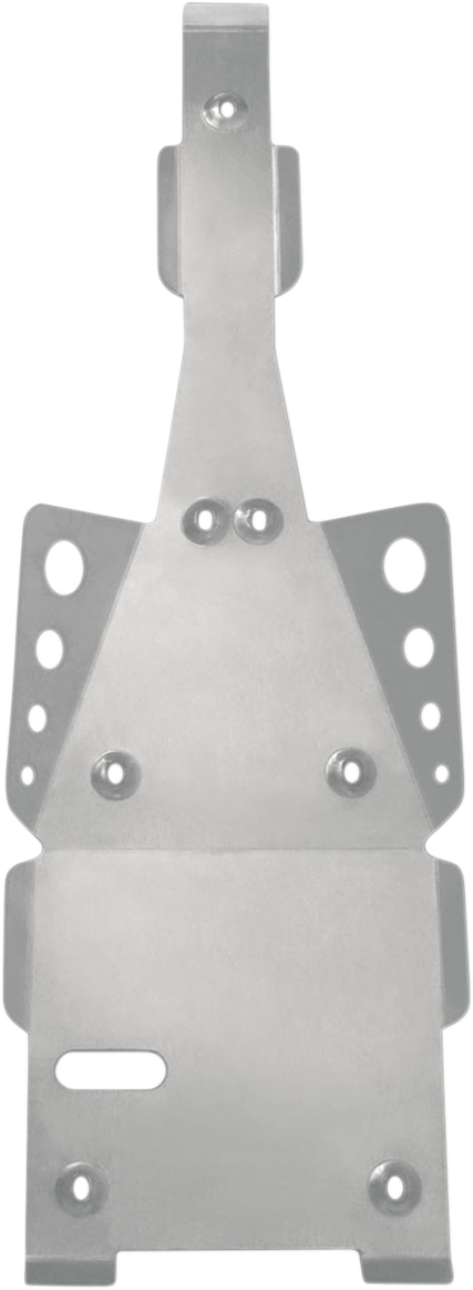 PRODUCTOS DE DEPORTE DE MOTOR Placa protectora del basculante - Raptor 82-3201