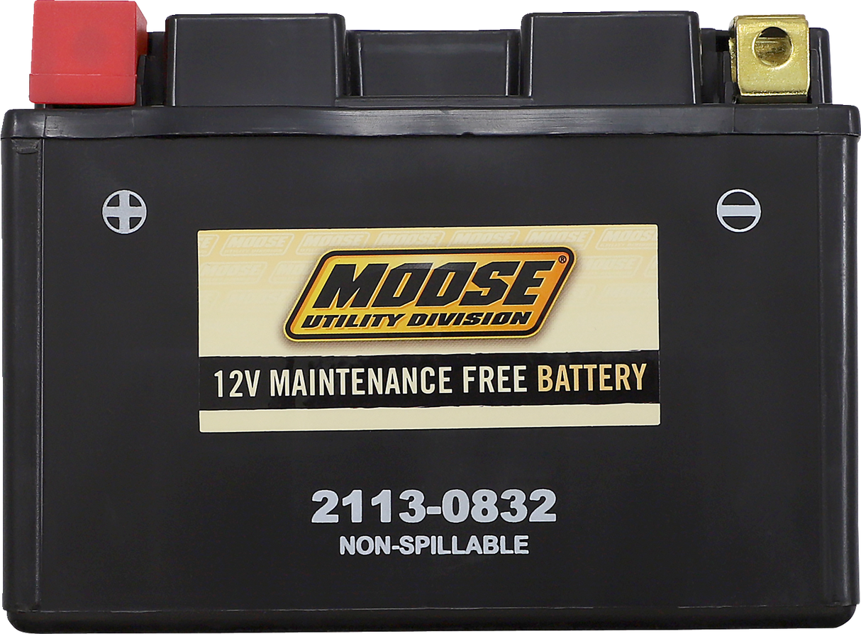 MOOSE UTILITY AGM Battery - CTZ12S CTZ12S