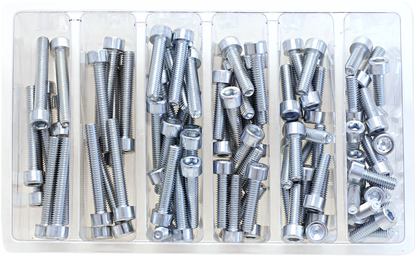 BOLT Bolt Assortment - Socket - Allen SV-M6SOCKET