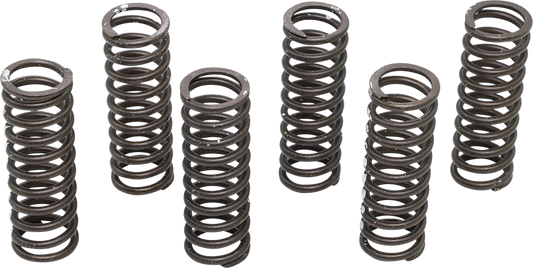 KG POWERSPORTS Clutch Spring Set KGS-714