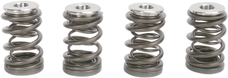 KIBBLEWHITE Spring Kit 96-96000