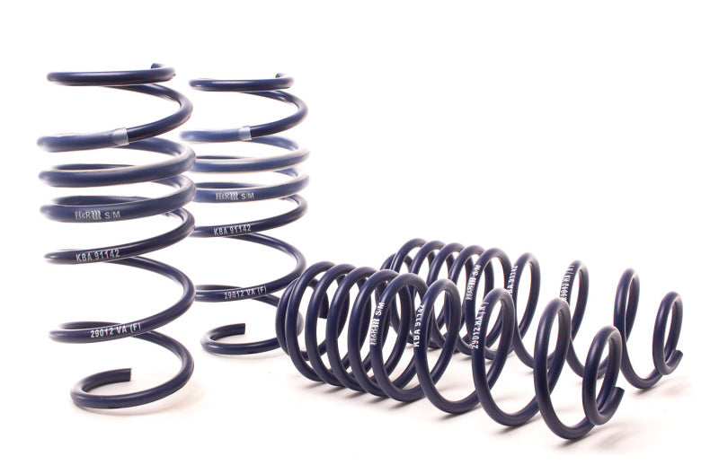 H&R 10-19 Ford Fiesta 1.6L/1.0L EcoBoost Sport Spring 51641