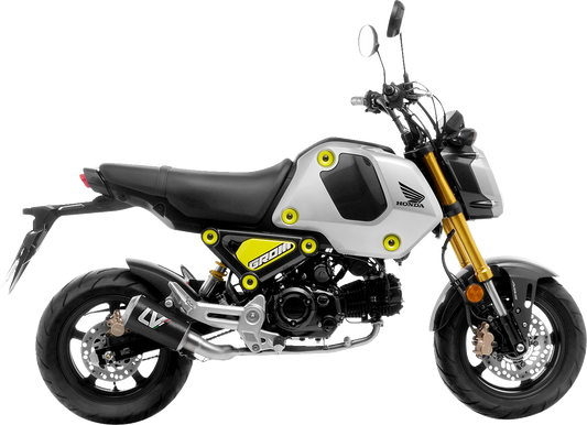 LEOVINCE LV-10 Exhaust - Carbon Fiber MSX125 Grom 2022-2024 15252C