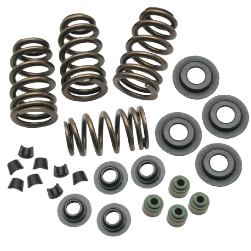 S&S Cycle 04-19 XL Valve Spring Kit - .650in 106-5909