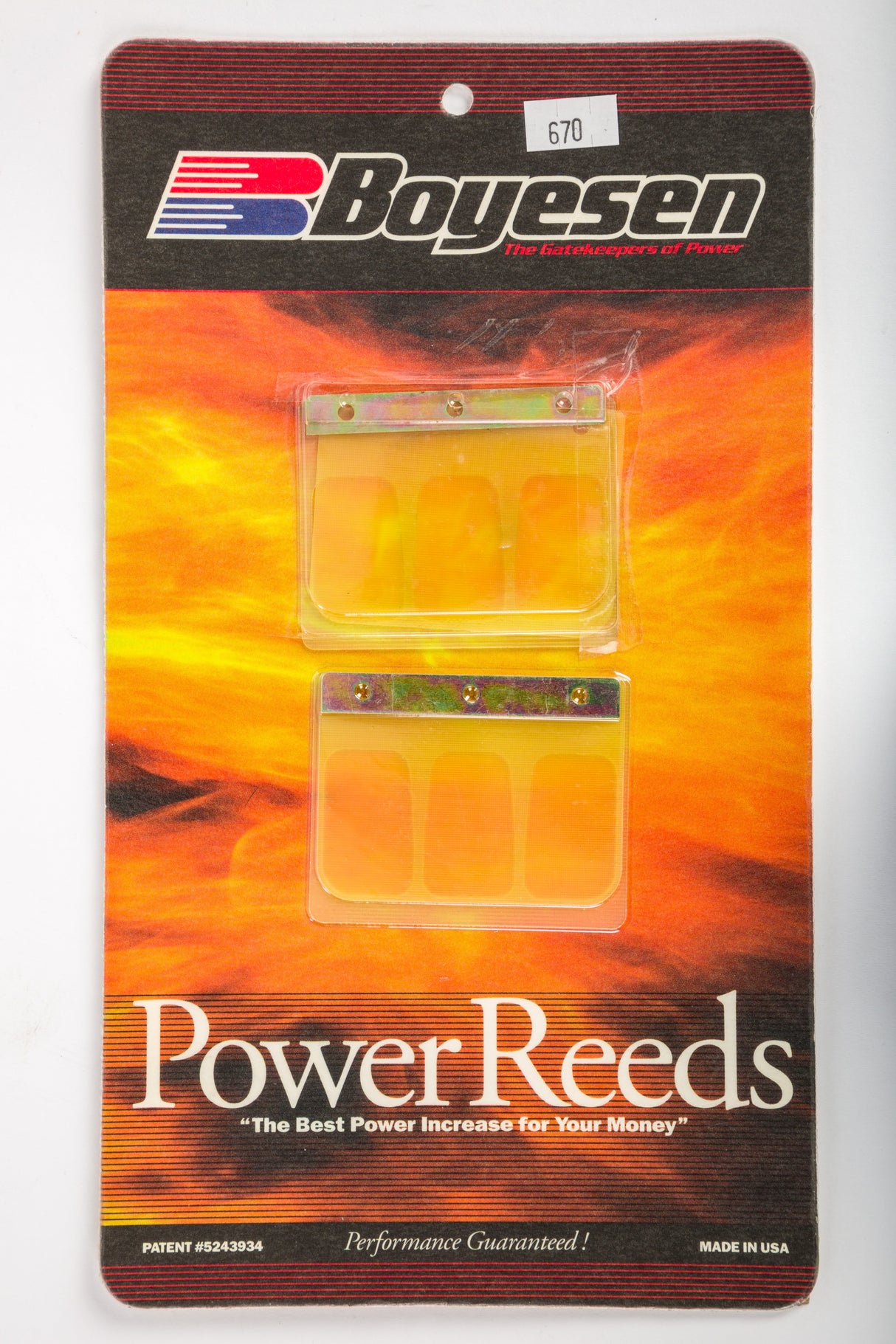 BOYESEN Motorcycle Reeds 670