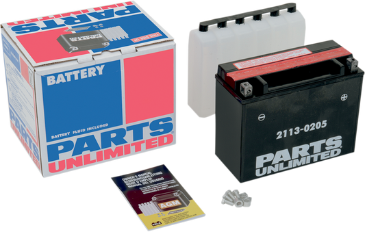 Parts Unlimited Agm Battery - Ytx24hl-Bs Ctx24hl-Bs