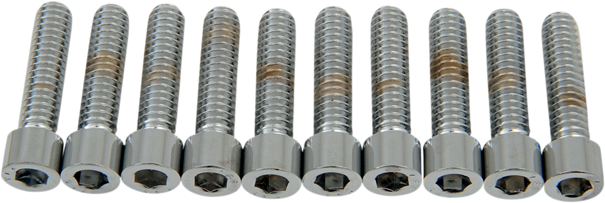 DRAG SPECIALTIES Bolts - Socket-Head - Smooth - 1/4-20 x 1" MPB181S