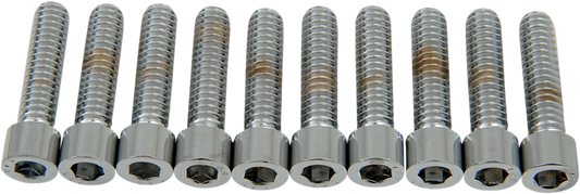 DRAG SPECIALTIES Bolts - Socket-Head - Smooth - 1/4-20 x 1" MPB181S