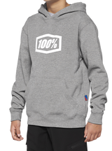 100% Youth Icon Hoodie - Gray - XL 20030-00007