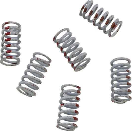 KG POWERSPORTS Clutch Spring Set KGS-057