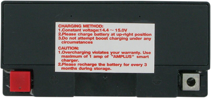 Parts Unlimited Agm Battery - Yt9b-4/Yt9b-Bs Ct9b-4