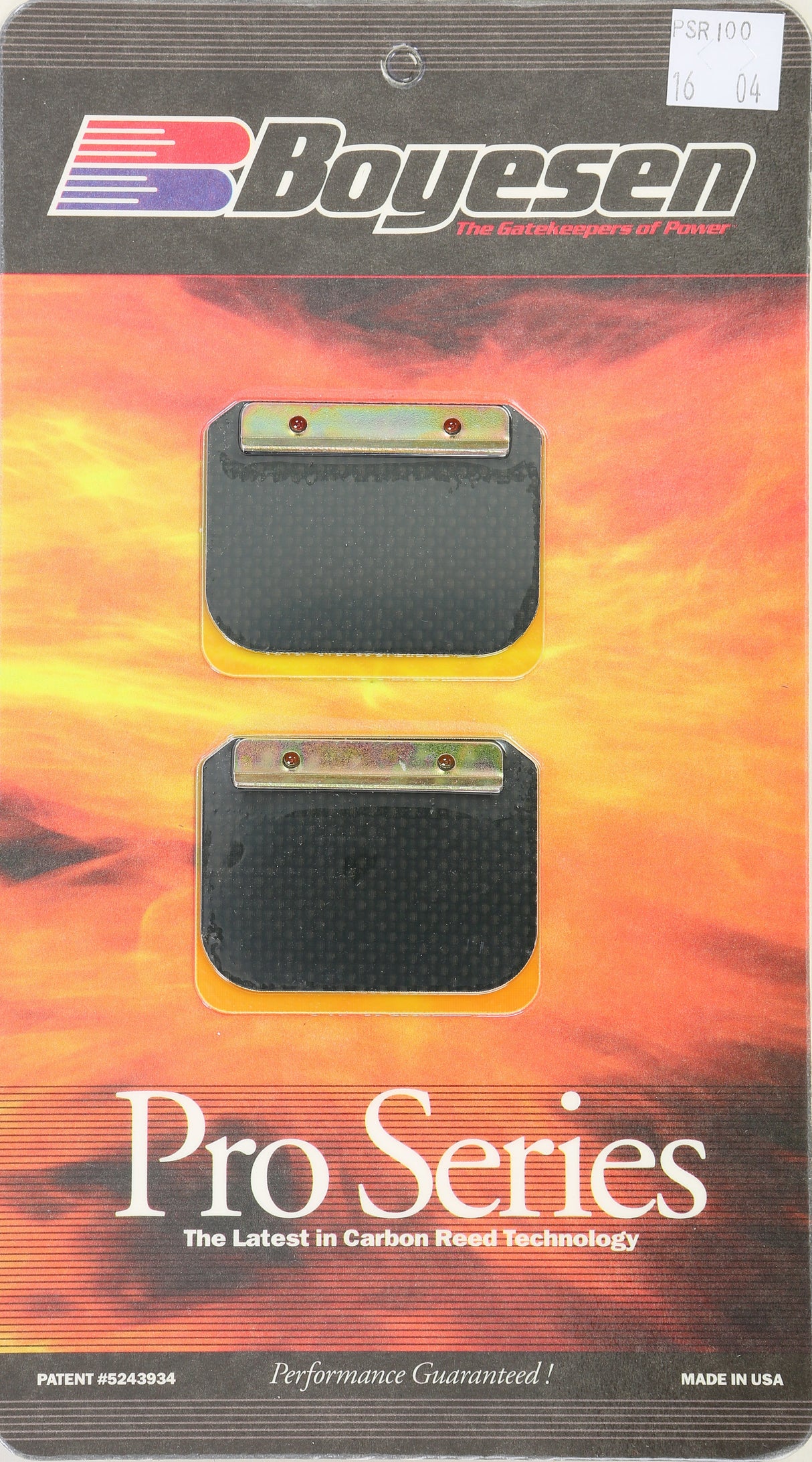 BOYESEN Motorcycle Pro Reeds PSR-100