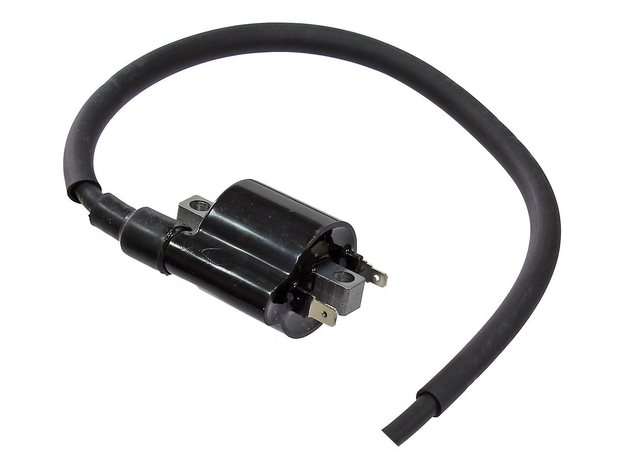 BRONCO Atv Ignition Coil AT-01698