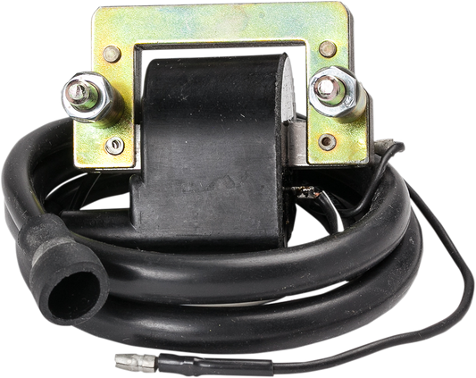 RICK'S MOTORSPORT ELECTRIC ignition Coil - Yamaha 23-404