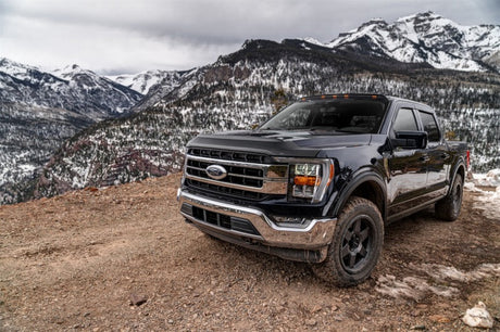 AVS 2021 Ford F-150 (Excl. Tremor/Raptor) Aeroskin II Textured Low Profile Hood Shield - Black 436196