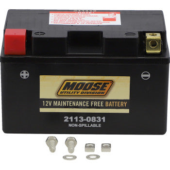 MOOSE UTILITY AGM Battery - CTZ10S CTZ10S