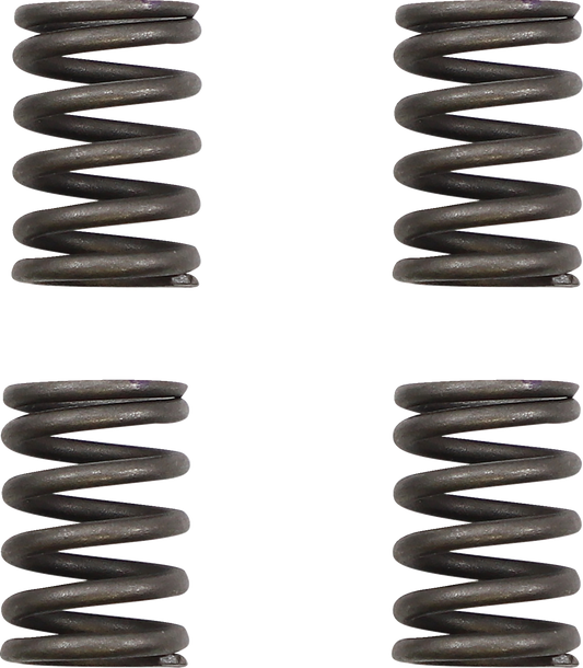 KG POWERSPORTS Clutch Spring Set KGS-039