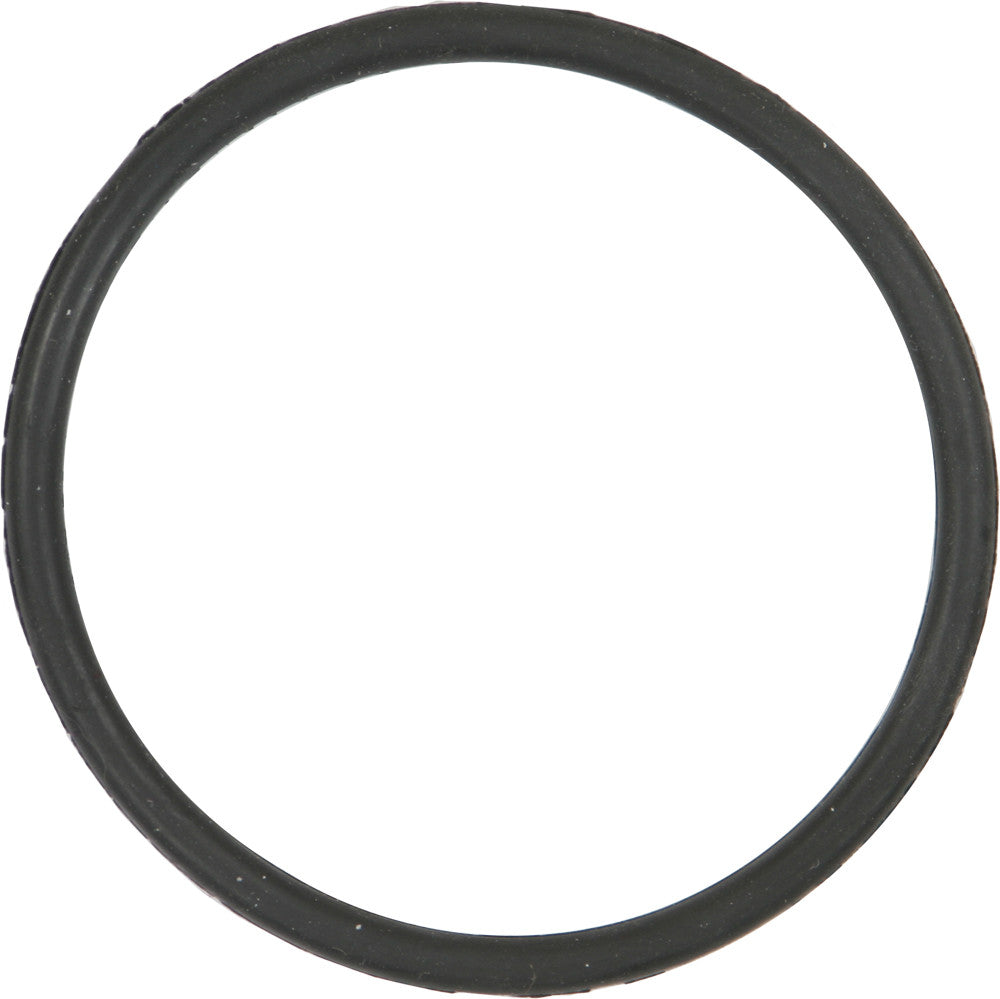 LCLc2 Utility Container O-Ring30-1281