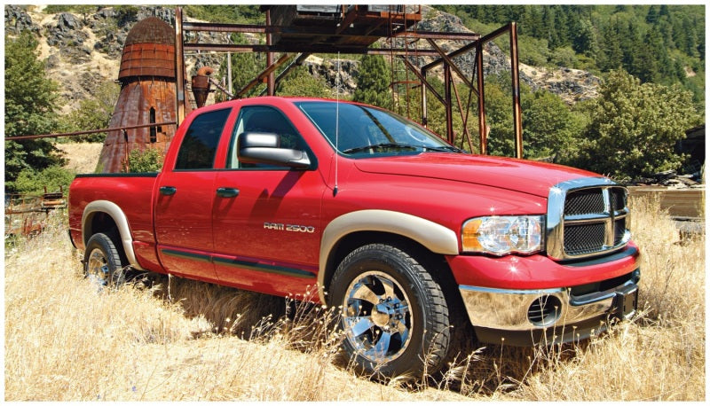 Bushwacker 02-05 Dodge Ram 1500 Fleetside OE Style Flares 4pc 75.9/76.3/97.9in Bed - Black 50905-02